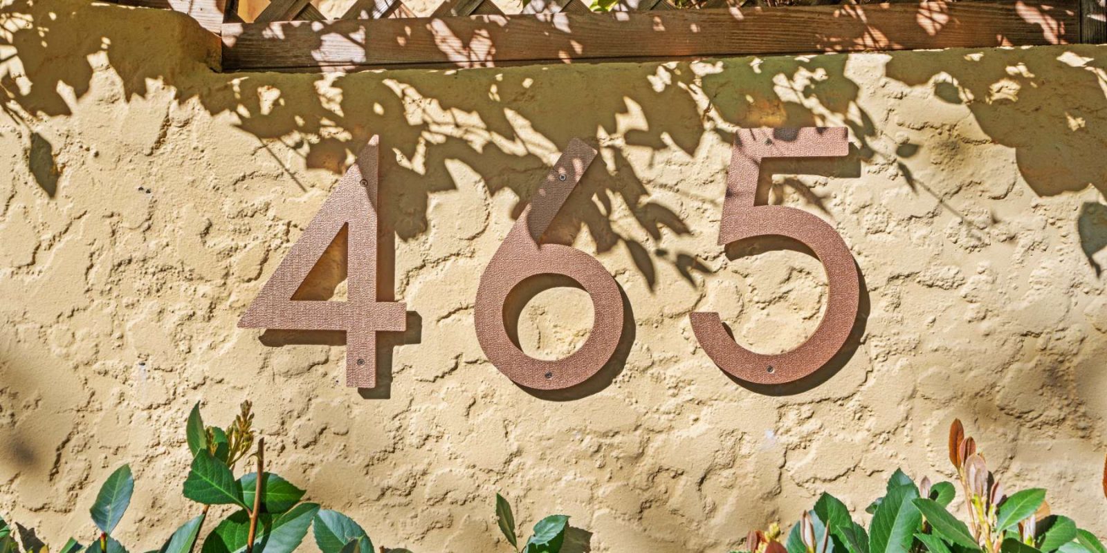 DSC_3936